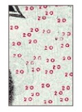 20s closeup. If you are not
seeing this image, check to make sure the file twenty_20s is in the same directory as
this document